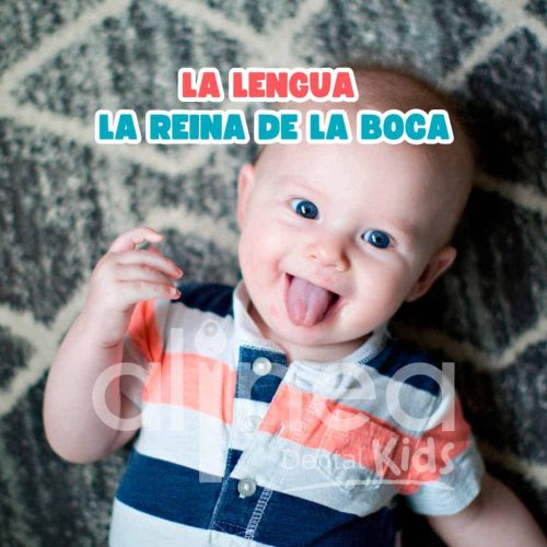 LA LENGUA LA REINA DE LA BOCA